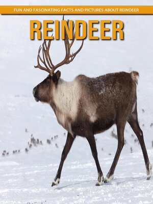 cover image of Reindeer--Fun and Fascinating Facts and Pictures About Reindeer